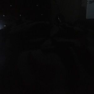 Meet your Posher, Alxi