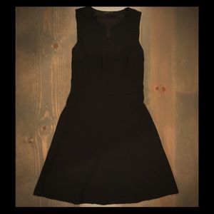 Women's Theory LBD