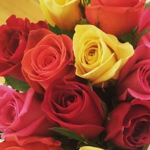 Meet your Posher, Alexandra