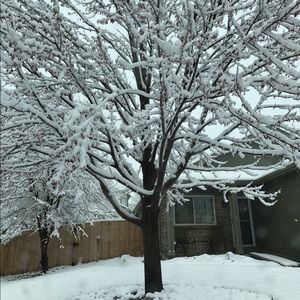 Meet your Posher, Dung