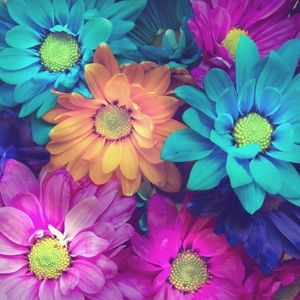 Meet your Posher, Glenda