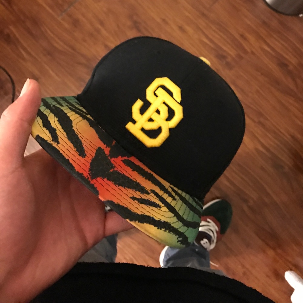 Nike sb SnapBack