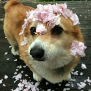 Meet your Posher, Elia