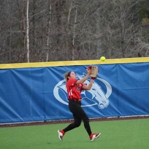 Meet your Posher, Maddie