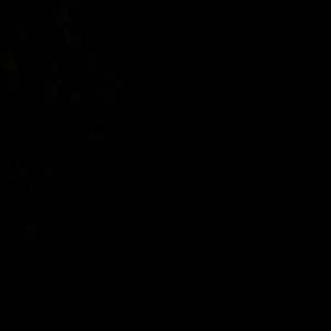 Meet your Posher, Ricky