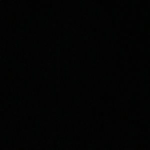 Meet your Posher, Oscar