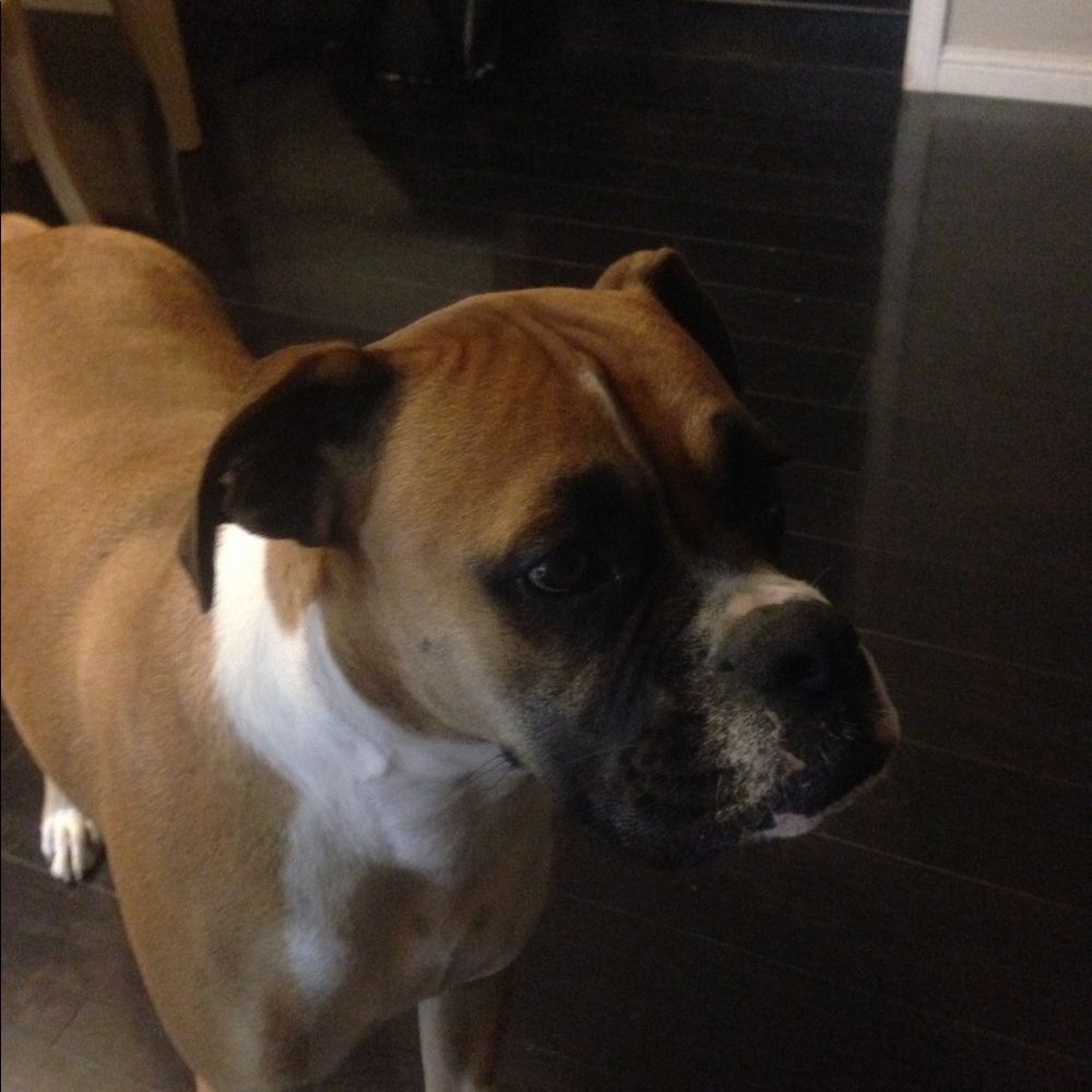 Meet your Posher, Kyle