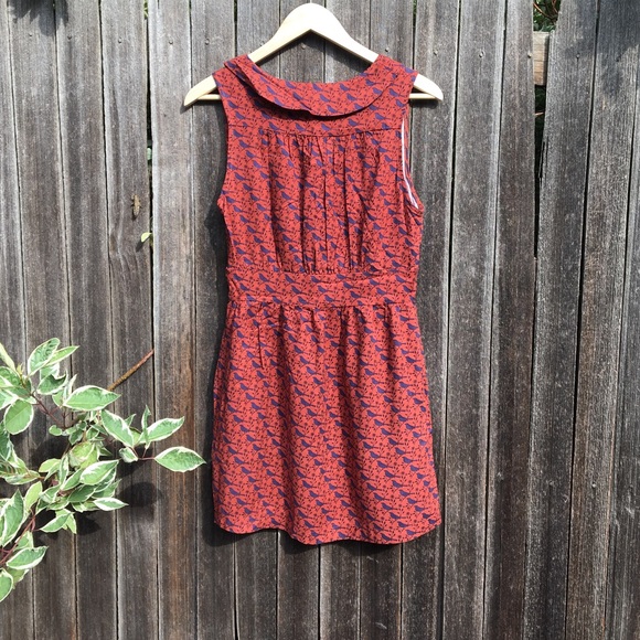 NEW Sienna and Blue Bird Mini Dress - Picture 7 of 9