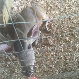 Meet your Posher, Crystal