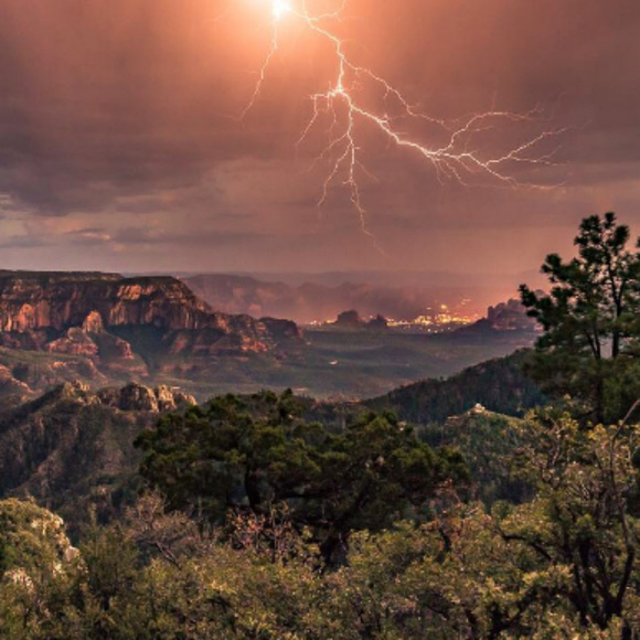 ~ Posh Ambassador ~ - Picture 5 of 8