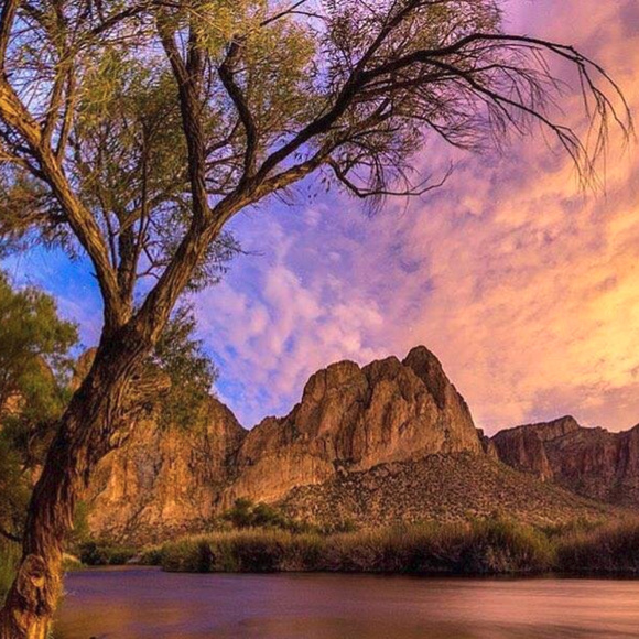 ~ Posh Ambassador ~ - Picture 4 of 8