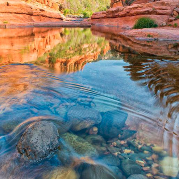 ~ Posh Ambassador ~ - Picture 7 of 8