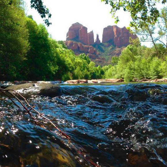 ~ Posh Ambassador ~ - Picture 3 of 8