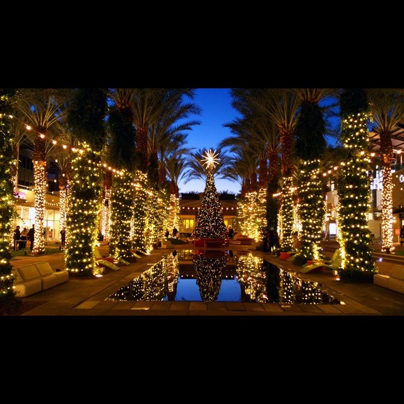 ~ Posh Ambassador ~ - Picture 6 of 8