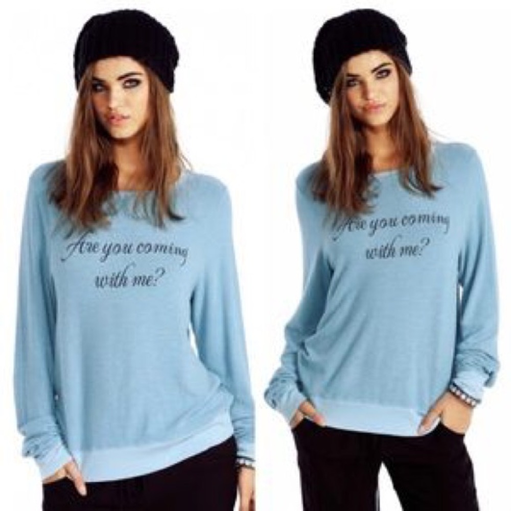 Wild fox slouchy sweat shirt (S)