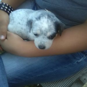 Meet your Posher, Maibeth