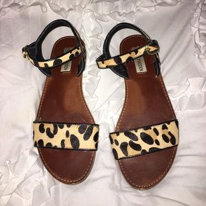 Steve Madden Cheetah Sandals