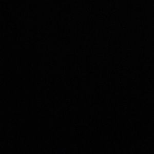 Meet your Posher, Pat