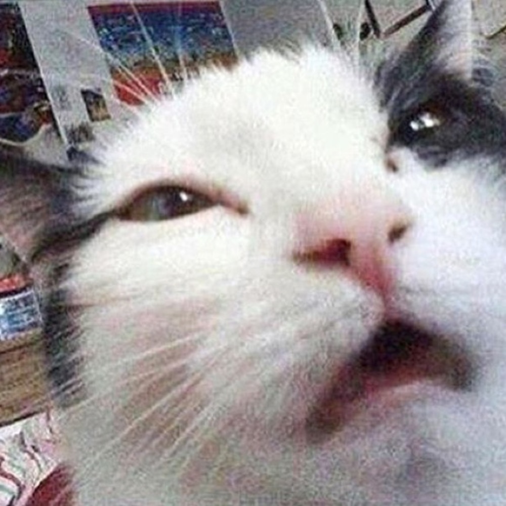 Meet your Posher, Kiah