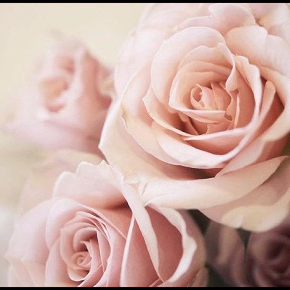 Meet your Posher, Cristina