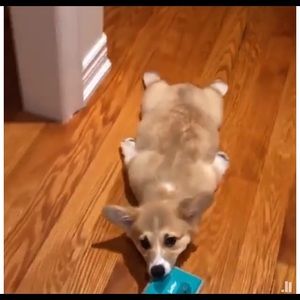 Meet your Posher, Thanh