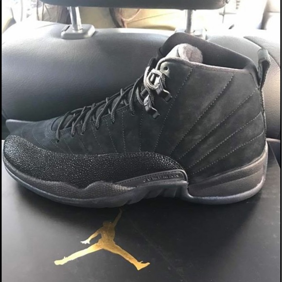 Jordan Ovo 12s
