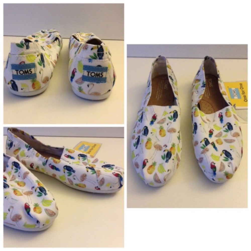 Toms White Parrot Canvas 6.5