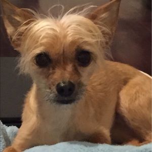 Meet your Posher, Cherie