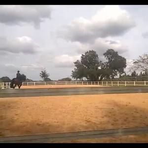 Meet your Posher, Renee