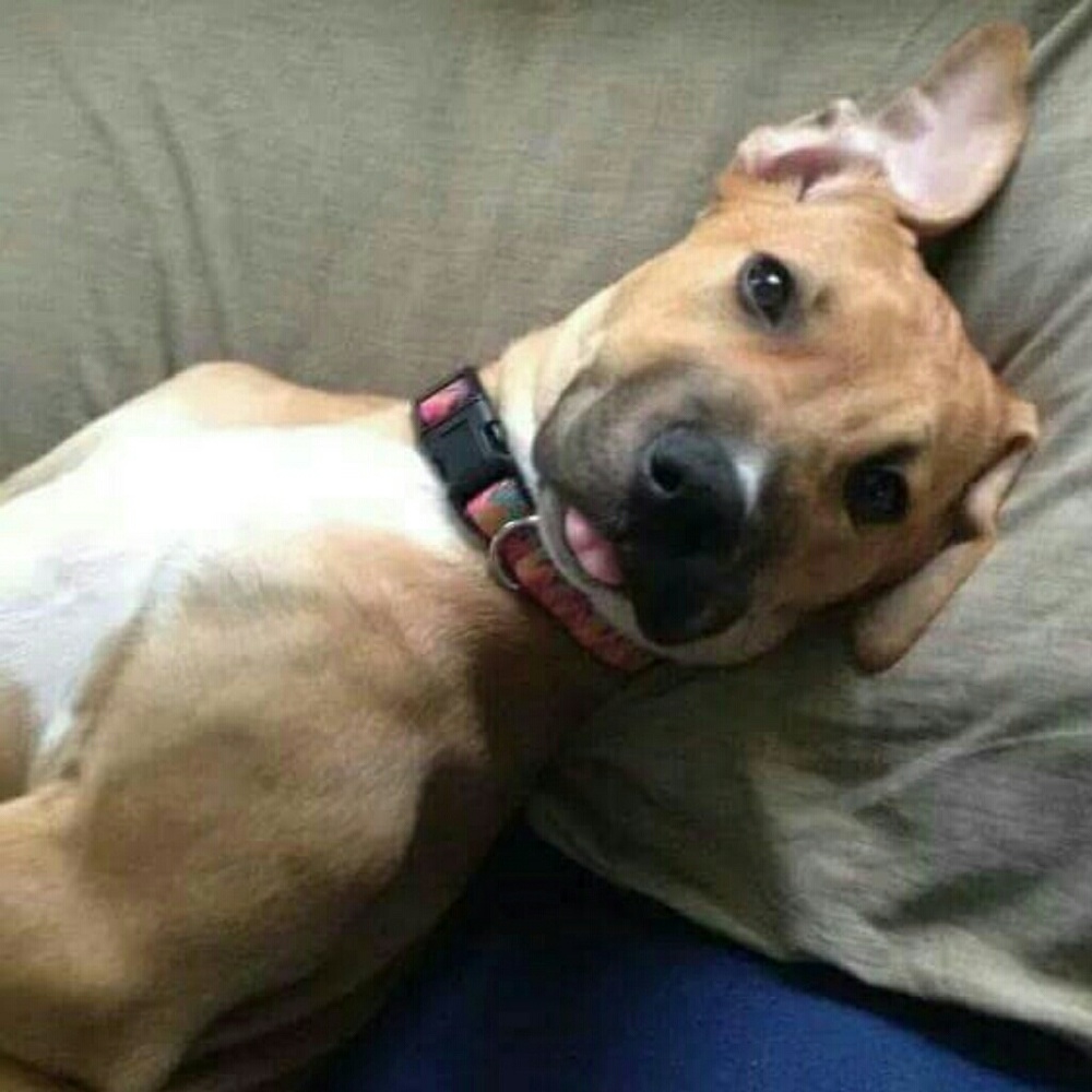 Meet your Posher, Twylia