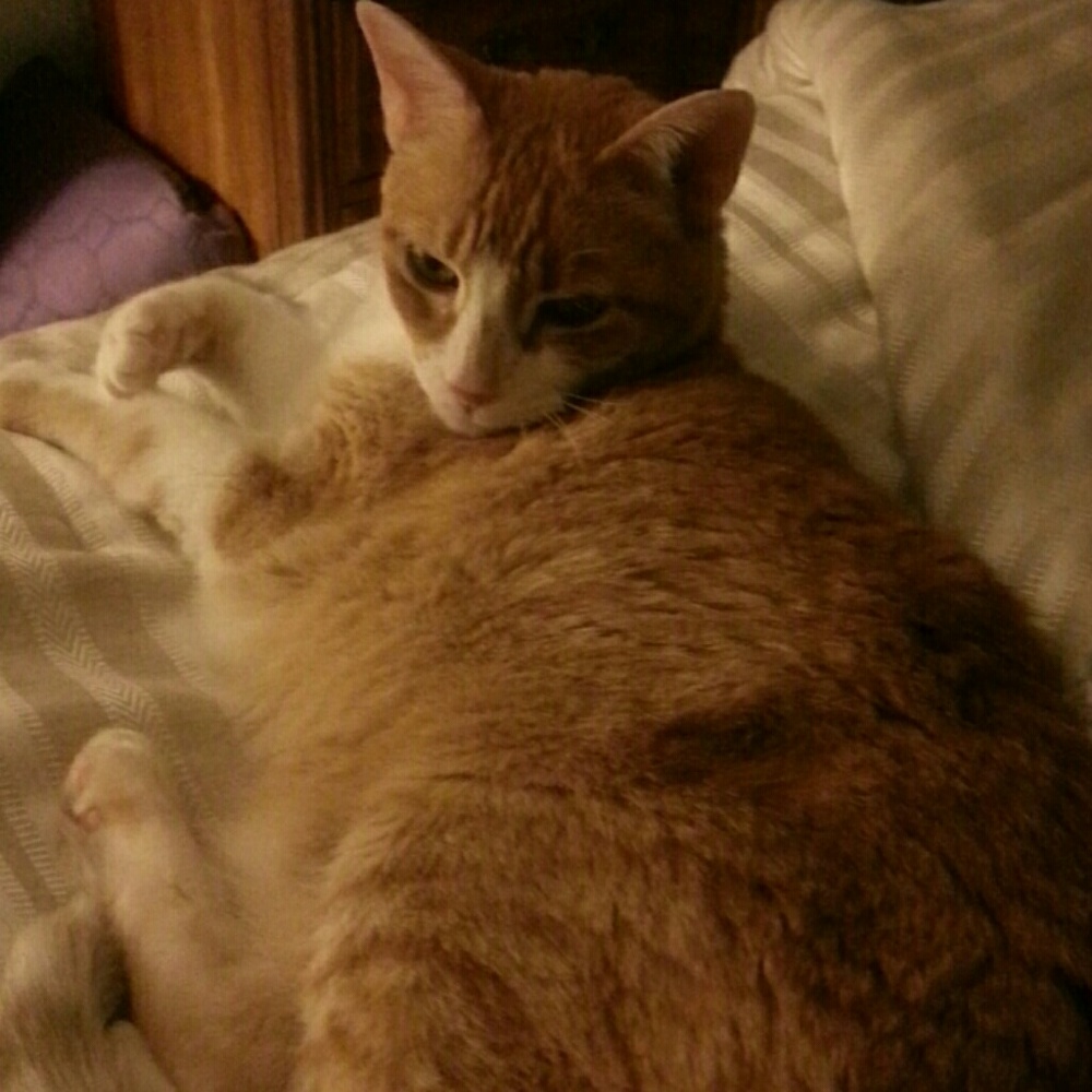 Meet your Posher, Joanne