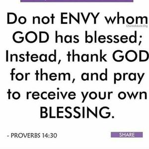 Meet your Posher, Bashirat