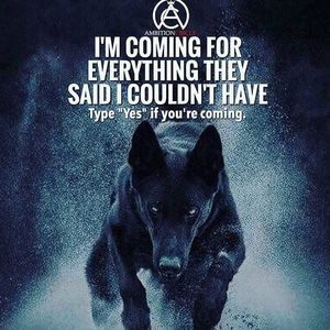 Meet your Posher, Louie