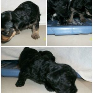 Meet your Posher, Luwayne