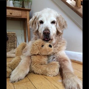 Meet your Posher, Louise