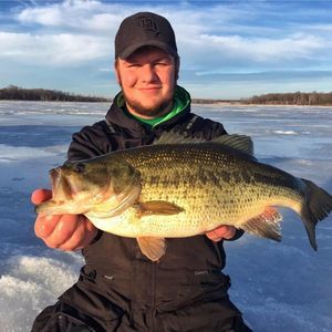 Meet your Posher, Derek