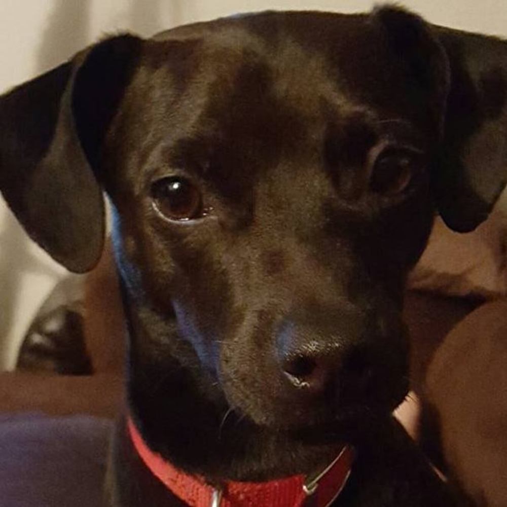 Meet your Posher, Kari