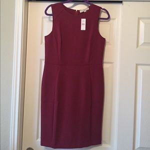 NWT Ann Taylor LOFT gorgeous classic maroon dress