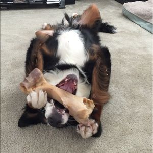 Meet your Posher, Tatiana