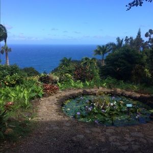 Meet your Posher, Diana