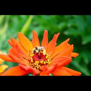 Meet your Posher, Jess