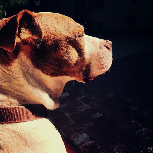 FOLLOW GAME #1 - Picture 3 of 3