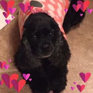 Meet your Posher, Joann