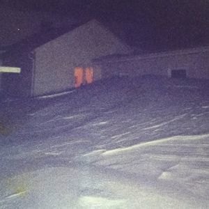 Meet your Posher, Gidget