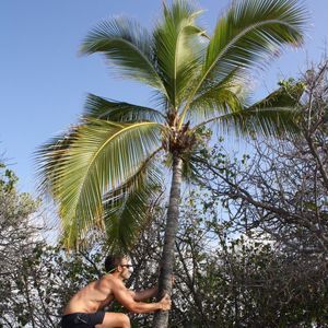 Meet your Posher, Elliott