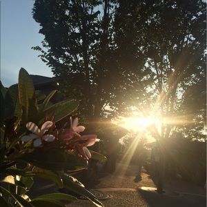 Meet your Posher, Xue