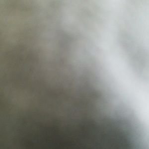 Meet your Posher, Ricky