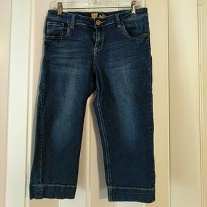 Kut from the kloth capris