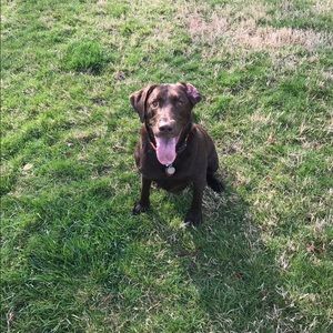 Meet your Posher, Krista