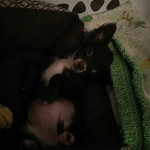 Meet your Posher, Cheryl